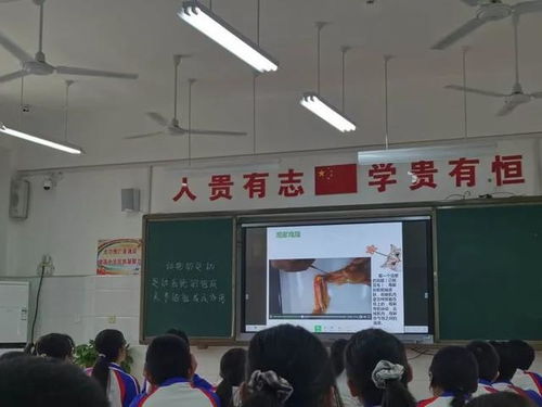 教研促教学,携手共进步 岱岳区开元中学地生教研活动纪实