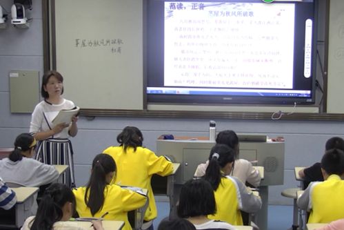 优秀教师风采展示