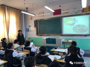 手拉手 共教研 同成长 朝阳中学与青岛三十七中学举行对口合作启动仪式