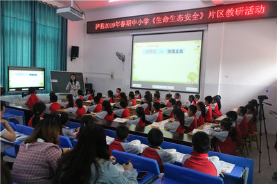 泸县2019春期中小学片区教研活动在宋观学校开展