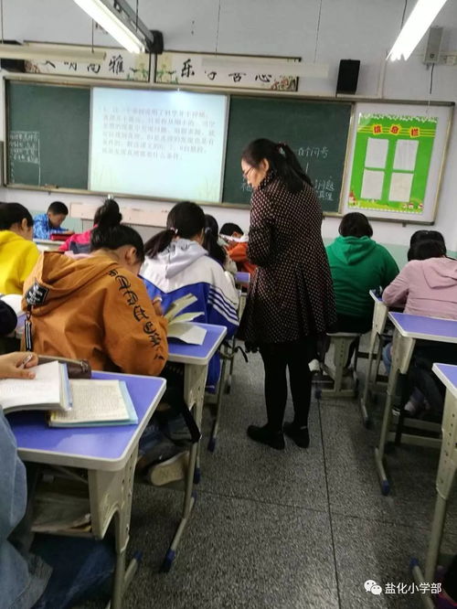 盐化中学小学部教研活动风采展